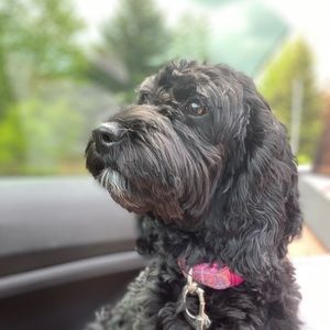 Meet your Posher, Maureen